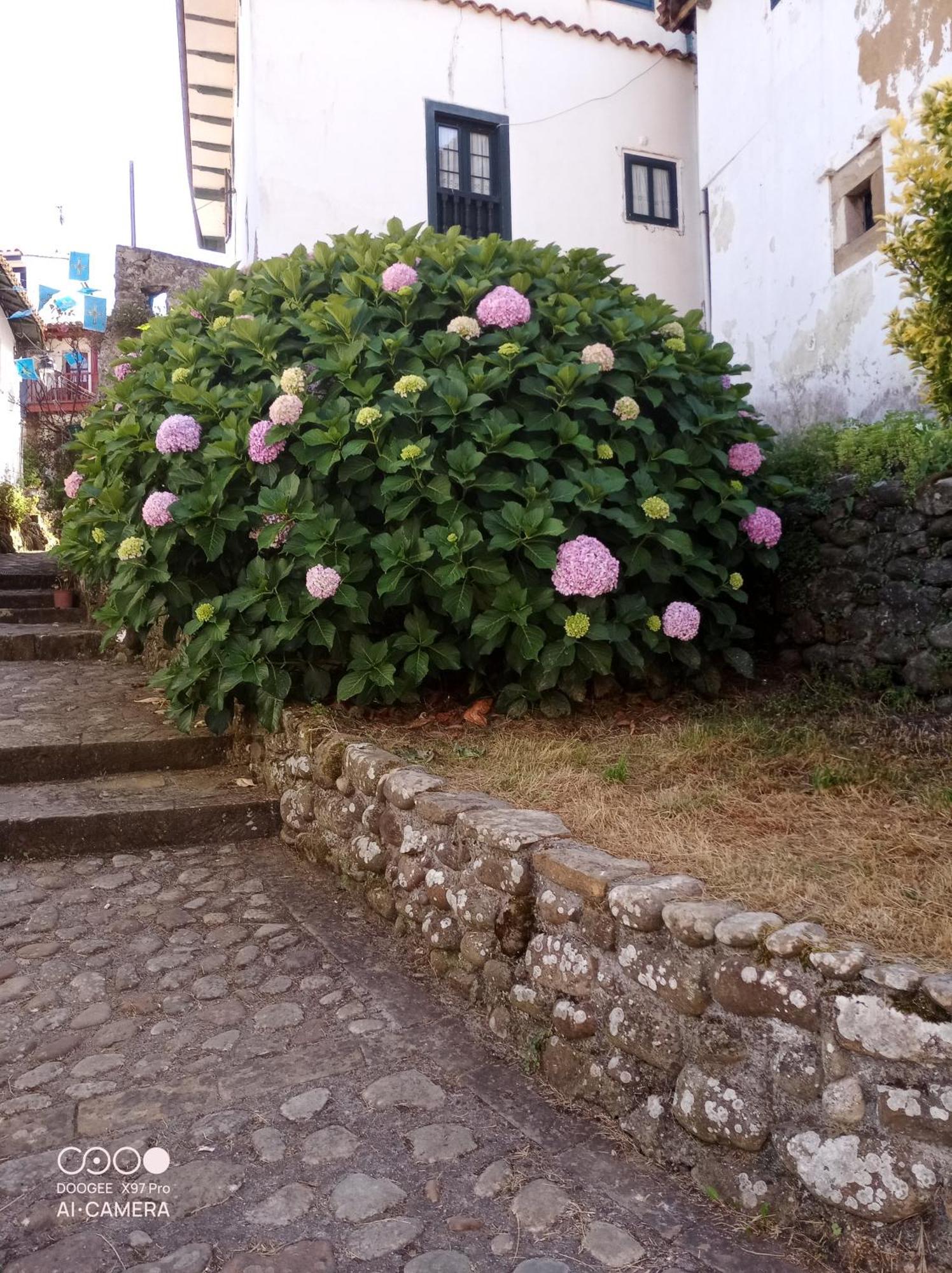 Apartmán Tazones 79 Vut6993As Exteriér fotografie